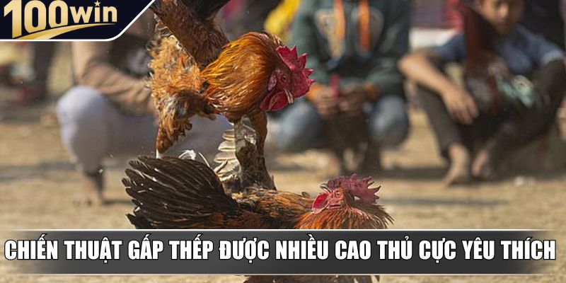 Chiến thuật gấp thếp được nhiều cao thủ cực yêu thích Chiến thuật gấp thếp được nhiều cao thủ cực yêu thích