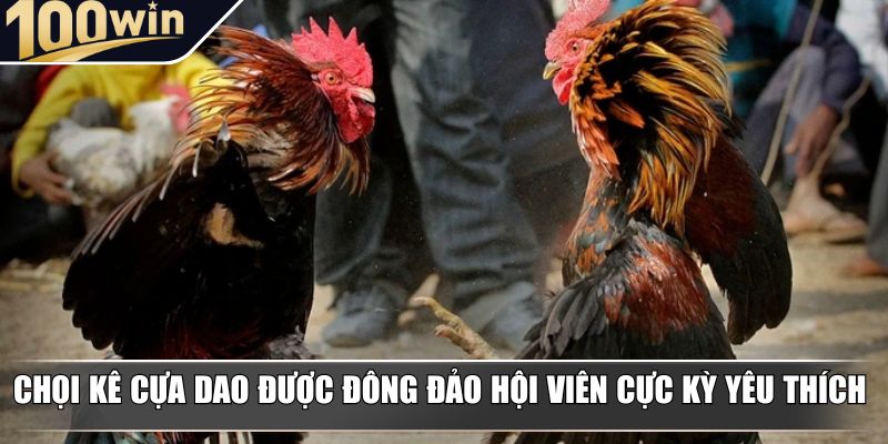 Chọi kê cựa dao được đông đảo hội viên cực kỳ yêu thích Chọi kê cựa dao được đông đảo hội viên cực kỳ yêu thích