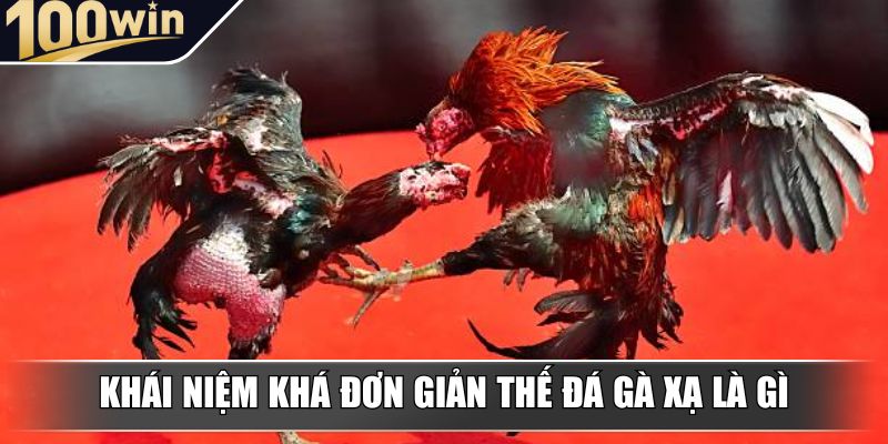 Khái niệm khá đơn giản thế đá gà xạ là gì