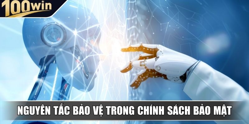 Nguyên tắc bảo vệ thông tin trong chính sách bảo mật hiện đại Nguyên tắc bảo vệ thông tin trong chính sách bảo mật hiện đại