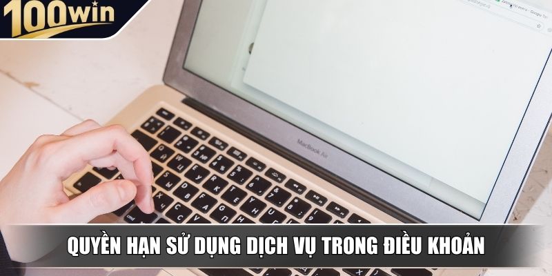 Quyền hạn sử dụng dịch vụ trong điều khoản điều kiện Quyền hạn sử dụng dịch vụ trong điều khoản điều kiện