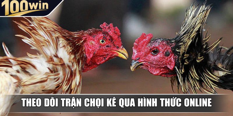Theo dõi trận chọi kê qua hình thức online Theo dõi trận chọi kê qua hình thức online