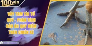 Vảy Tam Tài Tứ Quý - Phân Tích Dấu Ấn Quý Hiếm Trên Chiến Kê